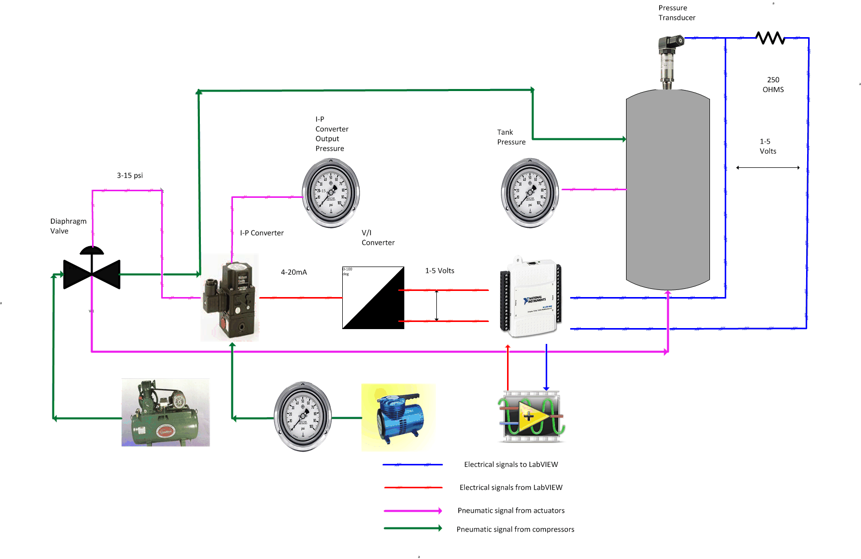 Plant Process.gif